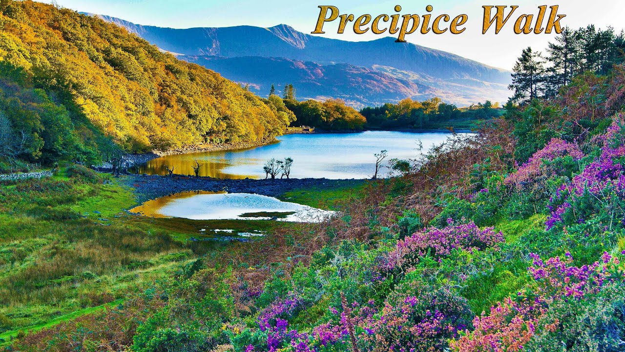 Precipice Walk Dolgellau North Wales 2025