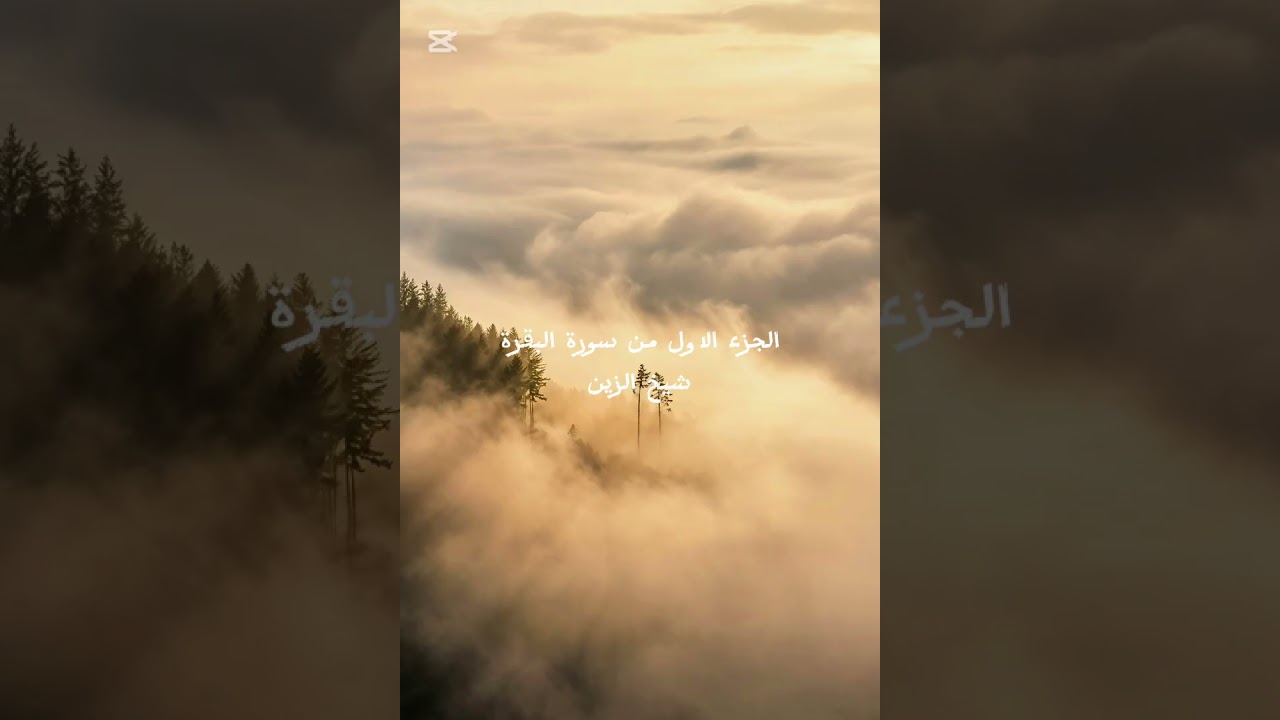 الجزء الاول من سورة البقرة|تلاوة رائعة لشيخ الزين محمد احمد