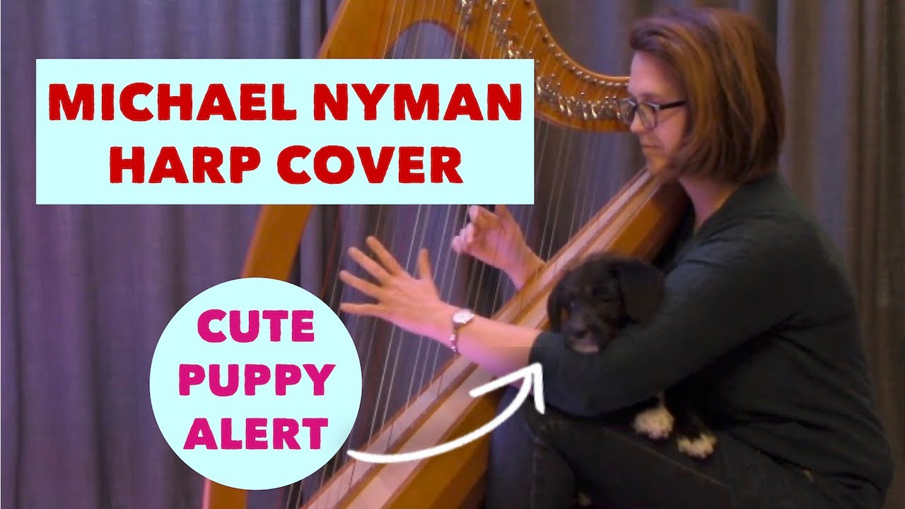 The Heart Asks Pleasure First - Michael Nyman harp cover