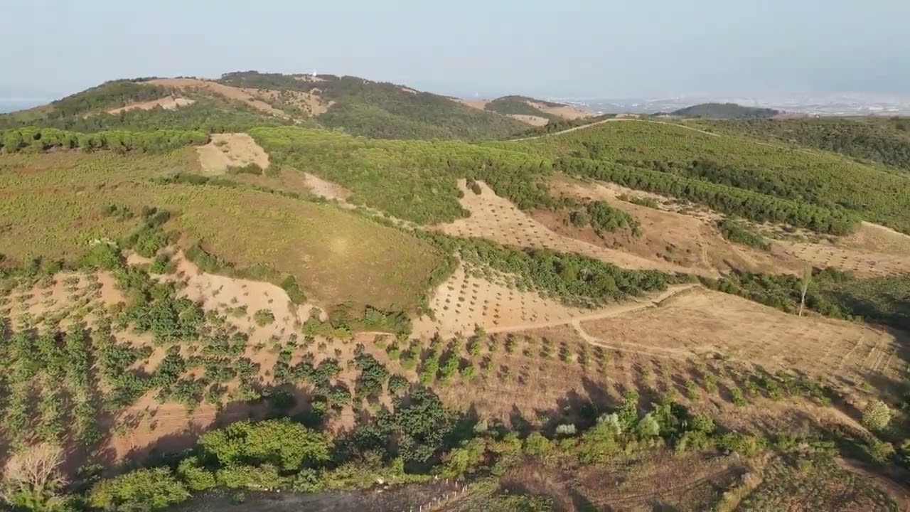 Çepni Keçi çiftliği ilerisi 53 dönüm içinde su olan fırsat çiftlik