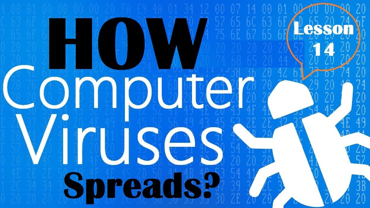 Lesson 14 | How Computer Viruses Spread | Computer Class 8 NBF Urdu/Hindi