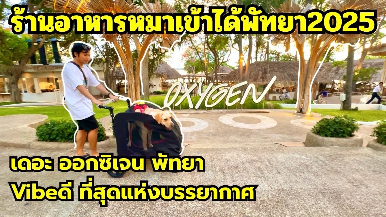 The Oxygen Pattaya เขาพระตำหนัก อัพเดตร้านอาหารหมาเข้าได้พัทยา2025 ร้านสวย บรรยากาศดีสุดๆ