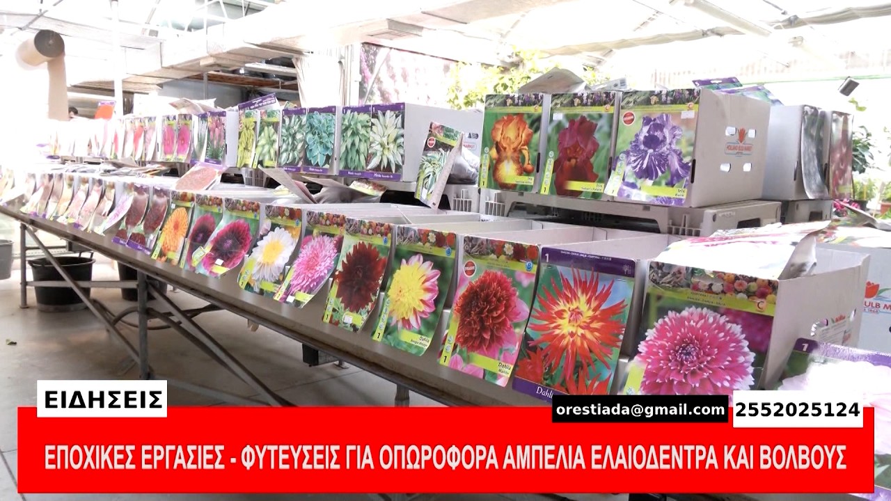 ΚΕΝΤΡΙΚΟ ΔΕΛΤΙΟ   19-2-26