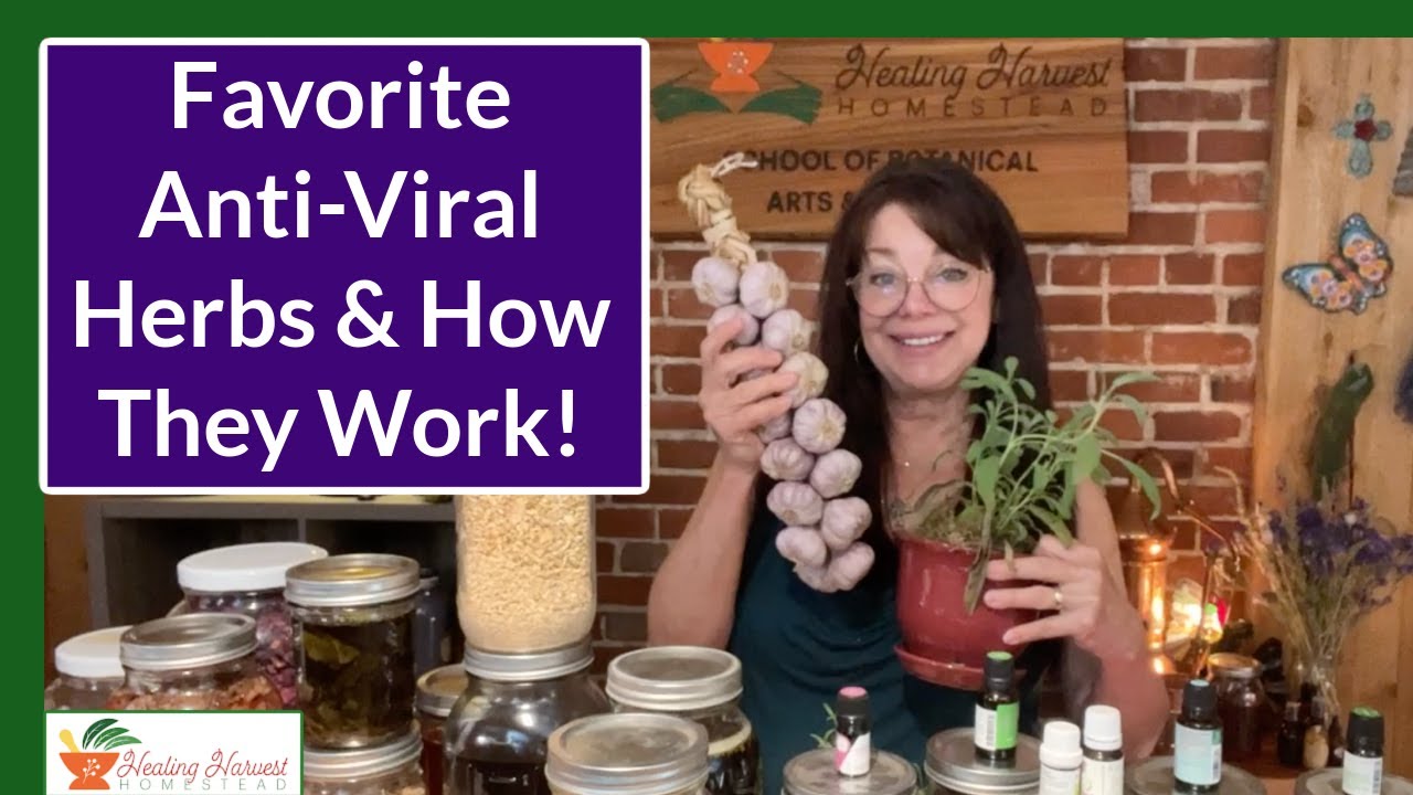 Herbal Anti-Virals and How to Use