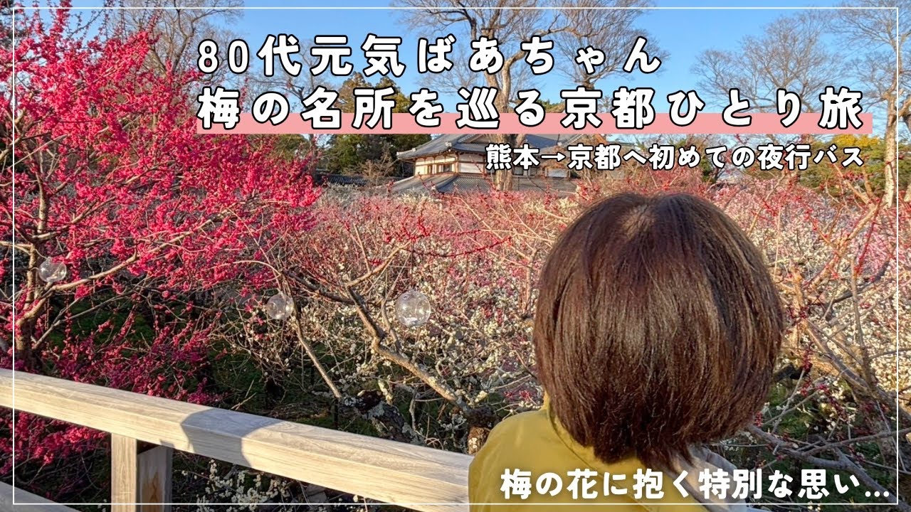 【京都旅行】８０代元気ばあちゃんのひとり旅/梅の名所を巡ってきました/初めて夜行バスにも乗車/北野天満宮/城南宮/宇治