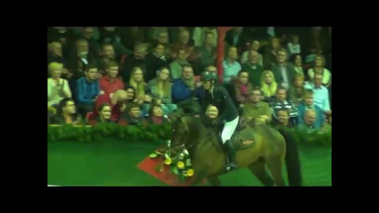 BALOU STAR - stallion show Vechta 2015