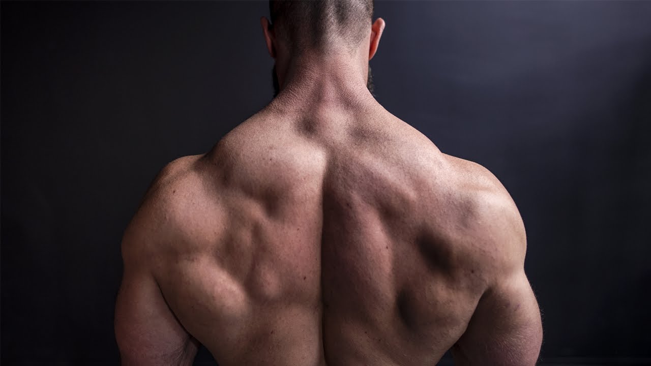 TRAP WORKOUT (This Will FORCE Them To GROW!)