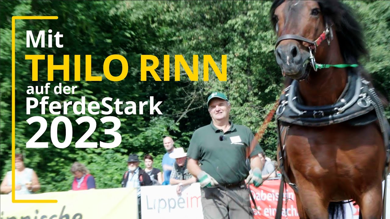 Mit Thilo Rinn auf der PferdeStark 2023