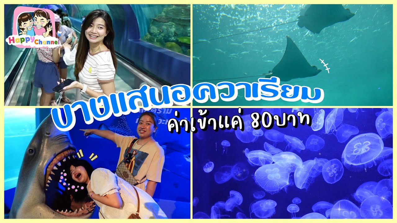 ดำดิ่งสู่โลกใต้ท้องทะเล อควาเรียม บางแสน 80 บาท คุ้มมากๆ ฟิล์ม น้องฟิวส์ Happy Channel