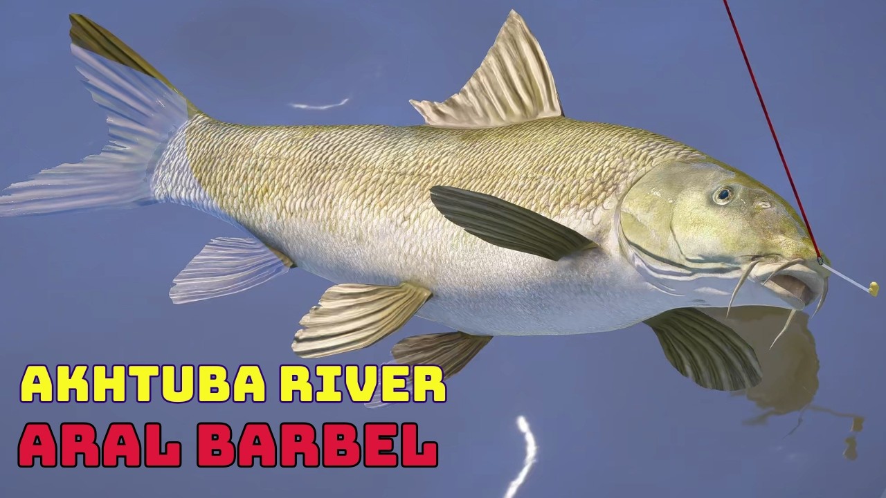 Russian Fishing 4 | Piękny początek a p&oacute;źniej nudy czyli Brzany Aralskie Akhtuba River (162)