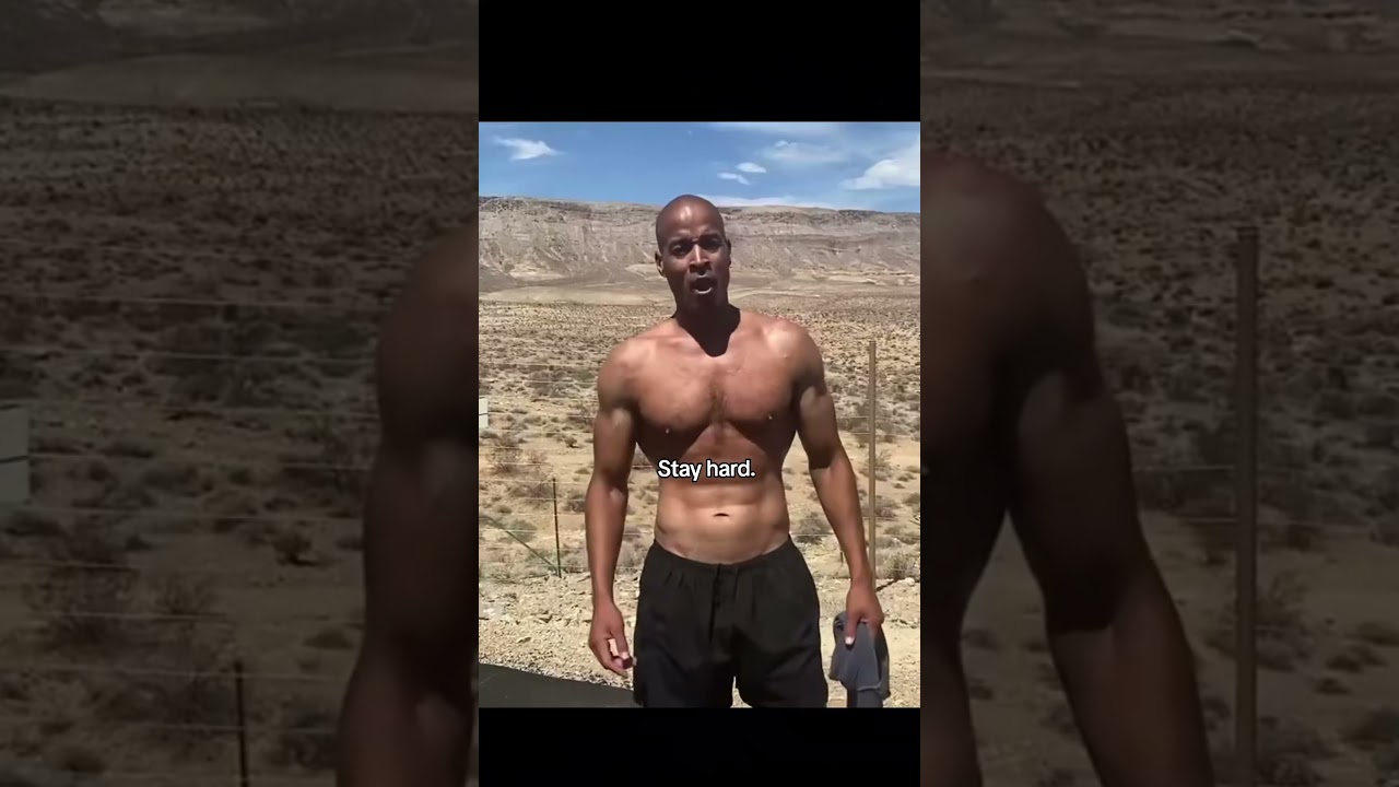 STAY HARD😤 #stayhard #davidgoggins #goggins #davidgogginsmotivation