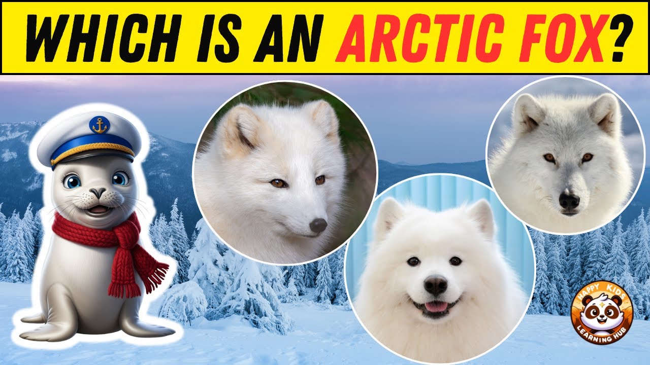 Cold Region Animal Guessing Game ❄️| Fun Quiz for Kids | Discover Polar Creatures!