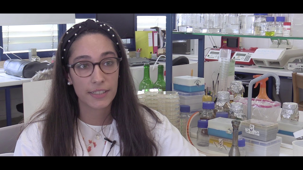 Licenciatura em Biologia Celular e Molecular | FCT NOVA