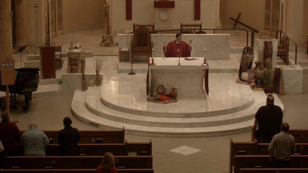 Daily Mass, 8:00am