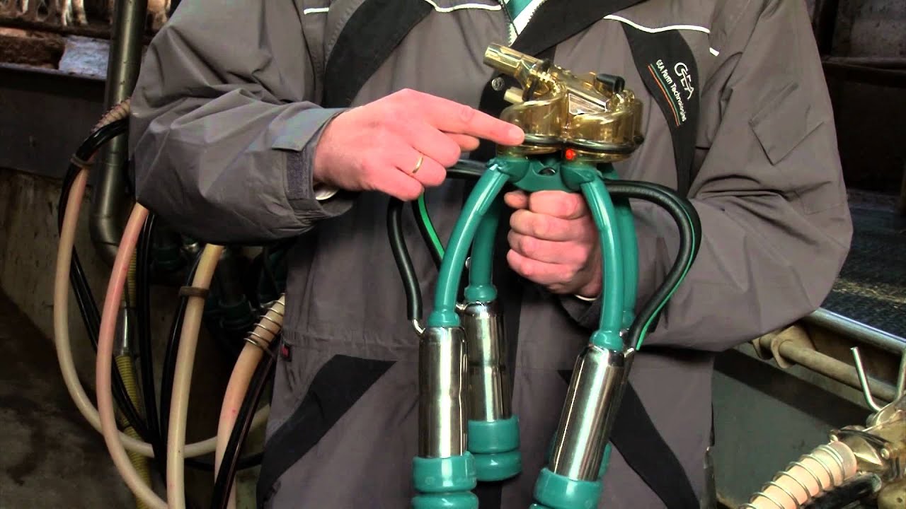 IQ melkklauw goede oplossing voor Blenke