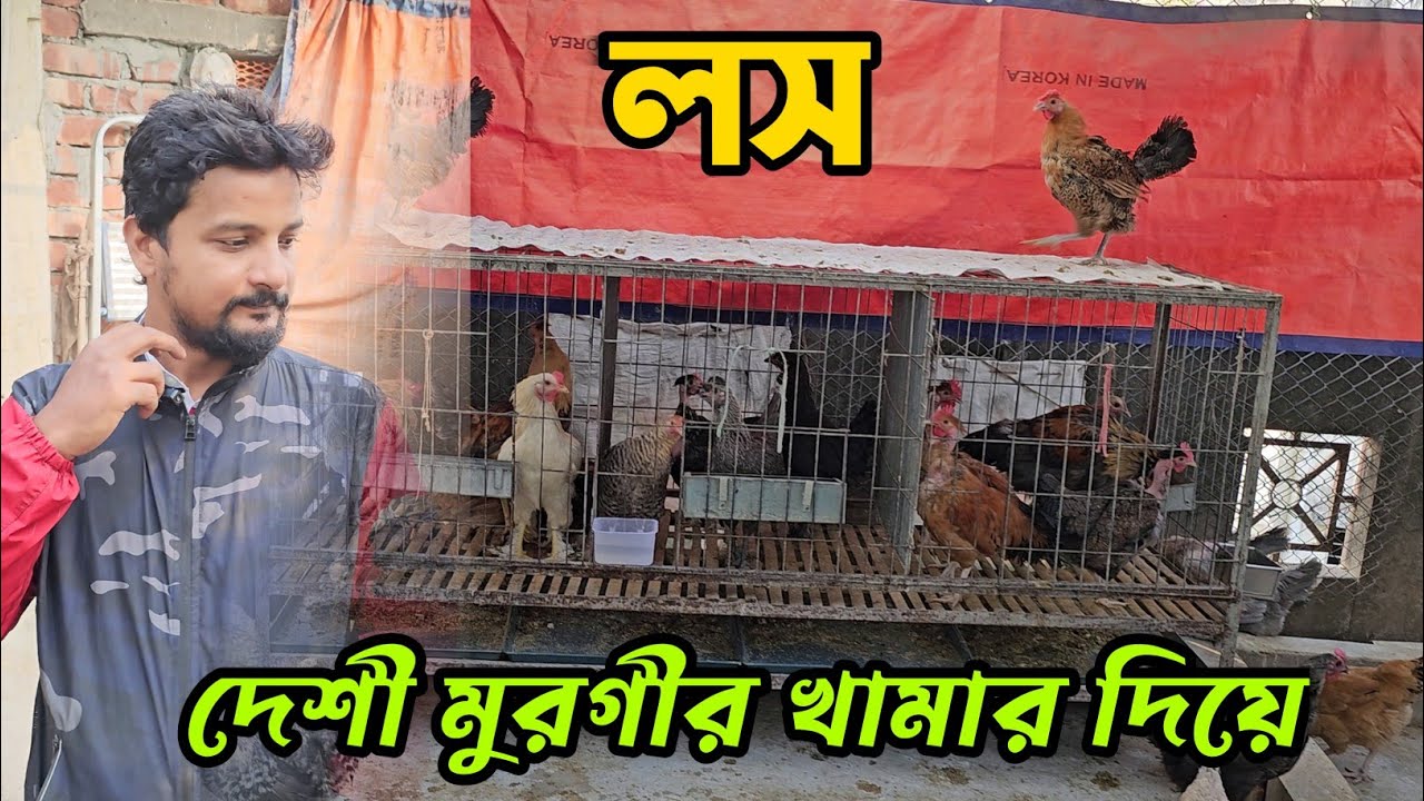 লস তো হবেই অভিজ্ঞতা না থাকলে