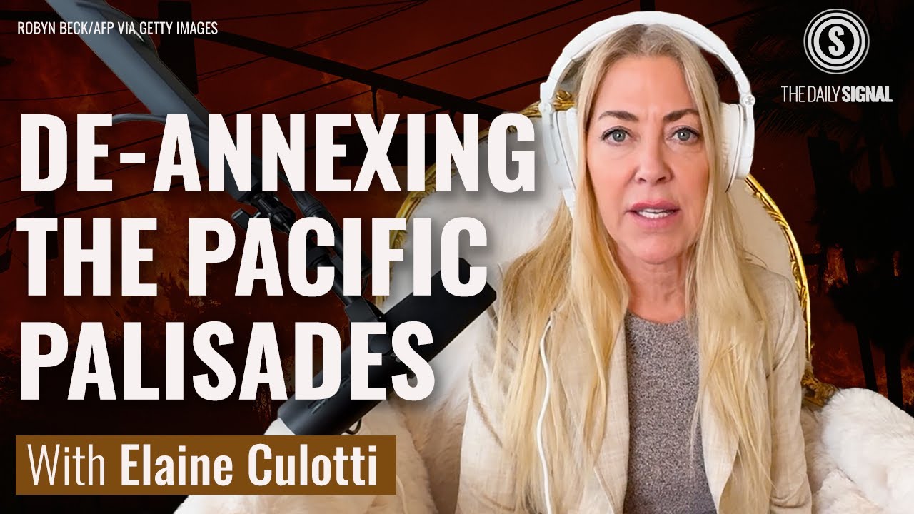 Pacific Palisades Should and Can Seceding from Los Angeles | Elaine Culotti
