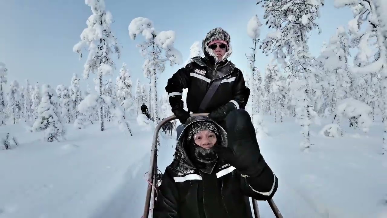 10KM Baba Husky Sled Ride in Finland – Pure Arctic Magic!