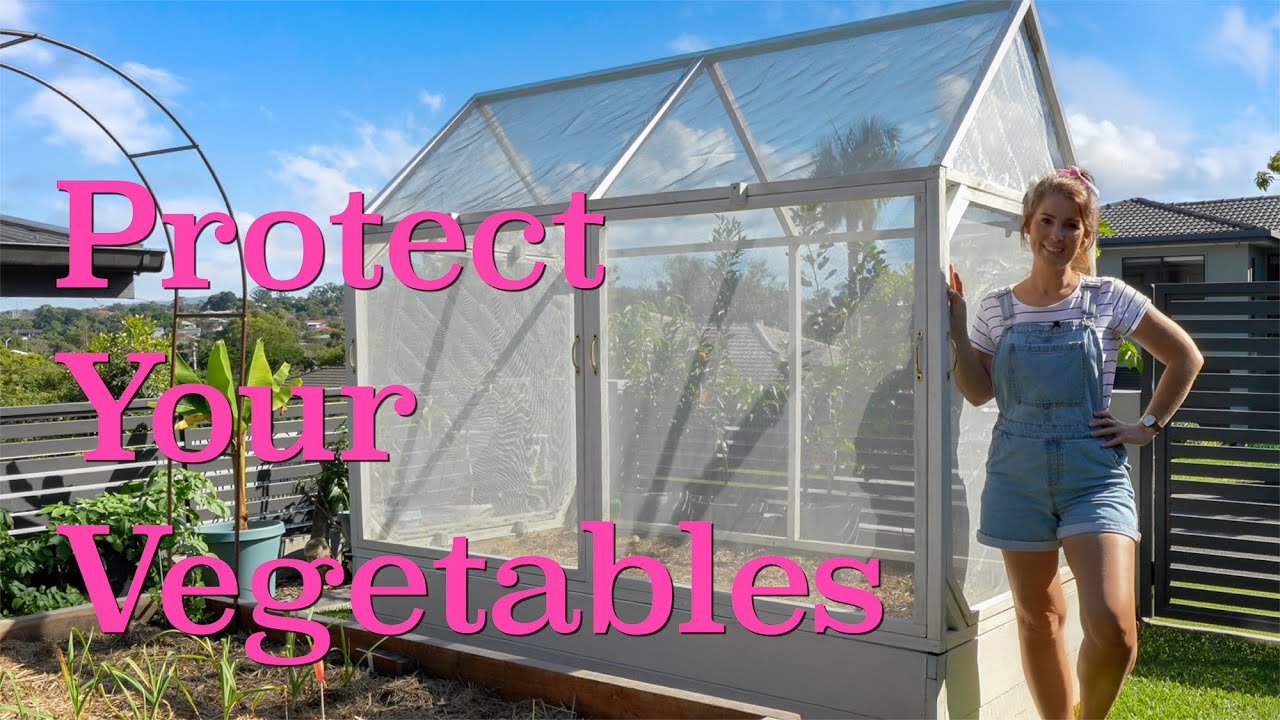 How to Build a Raised Garden Bed Cover for tomatoes, cucumbers & corn 🍅🌽🥒