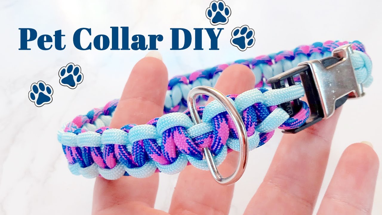 🐾 🐶 Как сделать ошейник для собаки или кошки для вашего пушистого друга 🐾 🐱 | Просто и понятно дл...