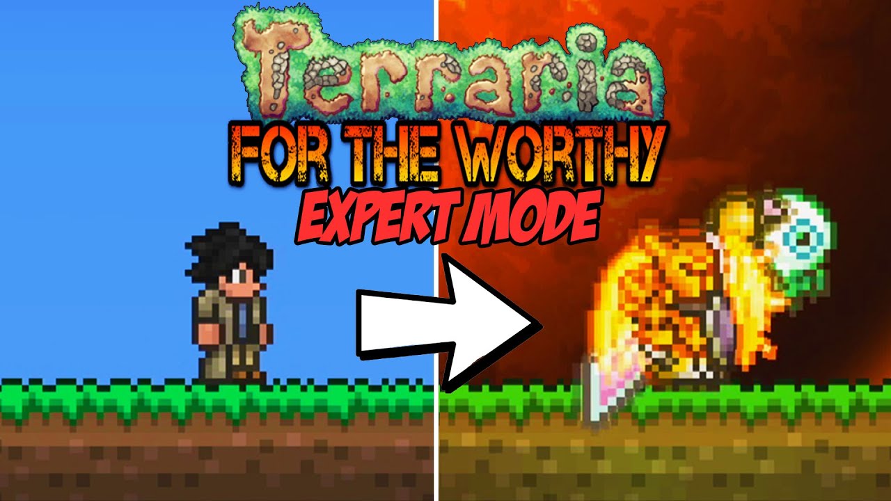 I Beat Terraria 