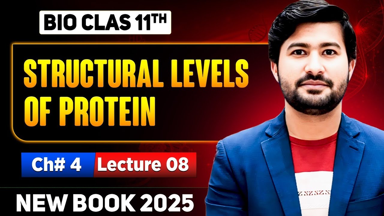 Structural Levels of Protein class biology new book 2025 | Irtisams biology | class 11 biology