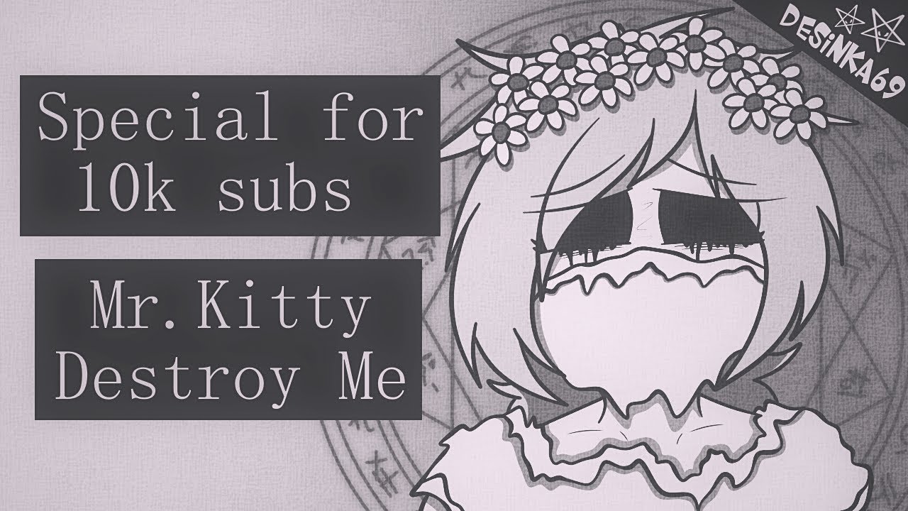 Mr.Kitty 