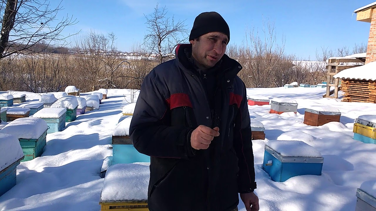 Зимовка пчел. Верхняя и нижняя вентиляции.