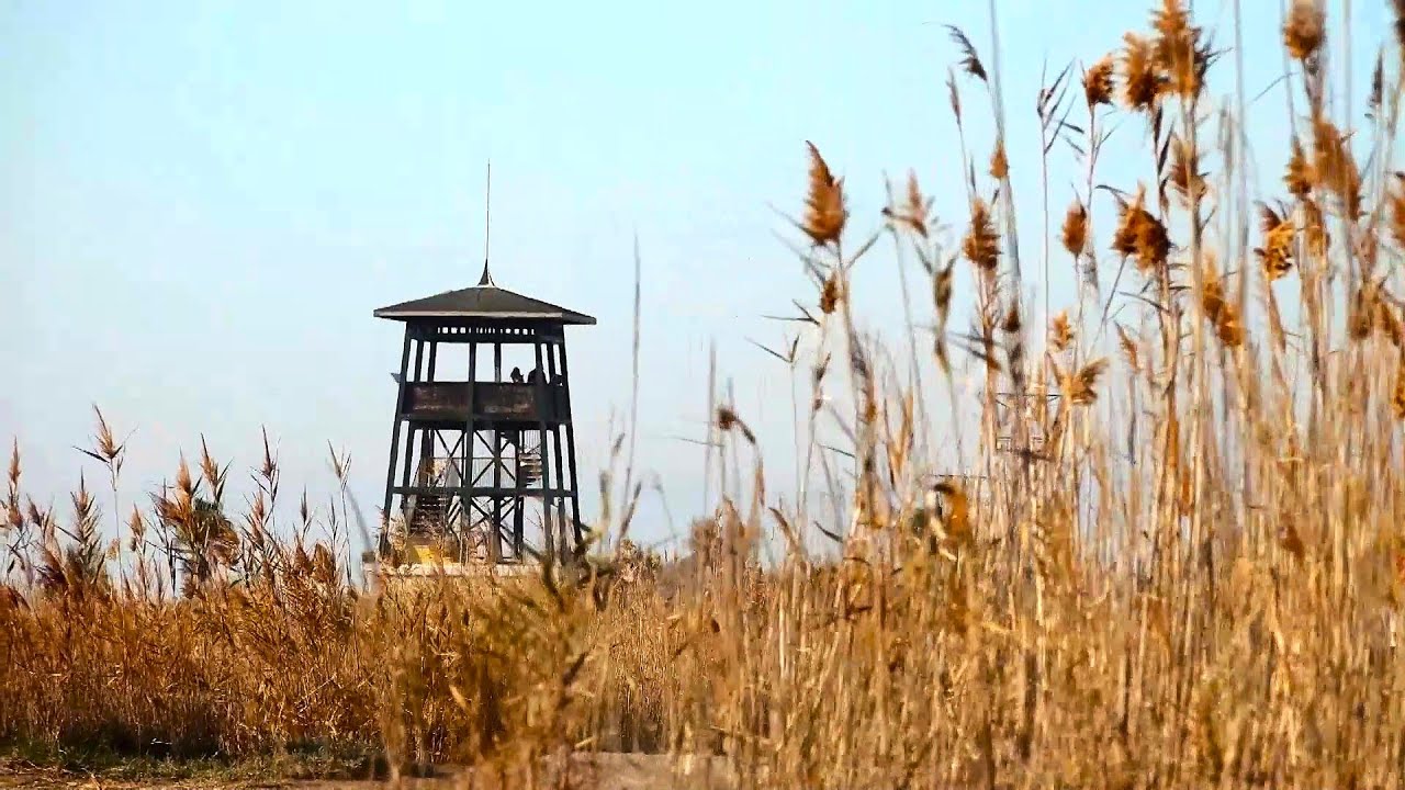 El Govern crea una nou c&agrave;rrec per gestionar i coordinar les accions de l&rsquo;Estrat&egrave;gia Delta