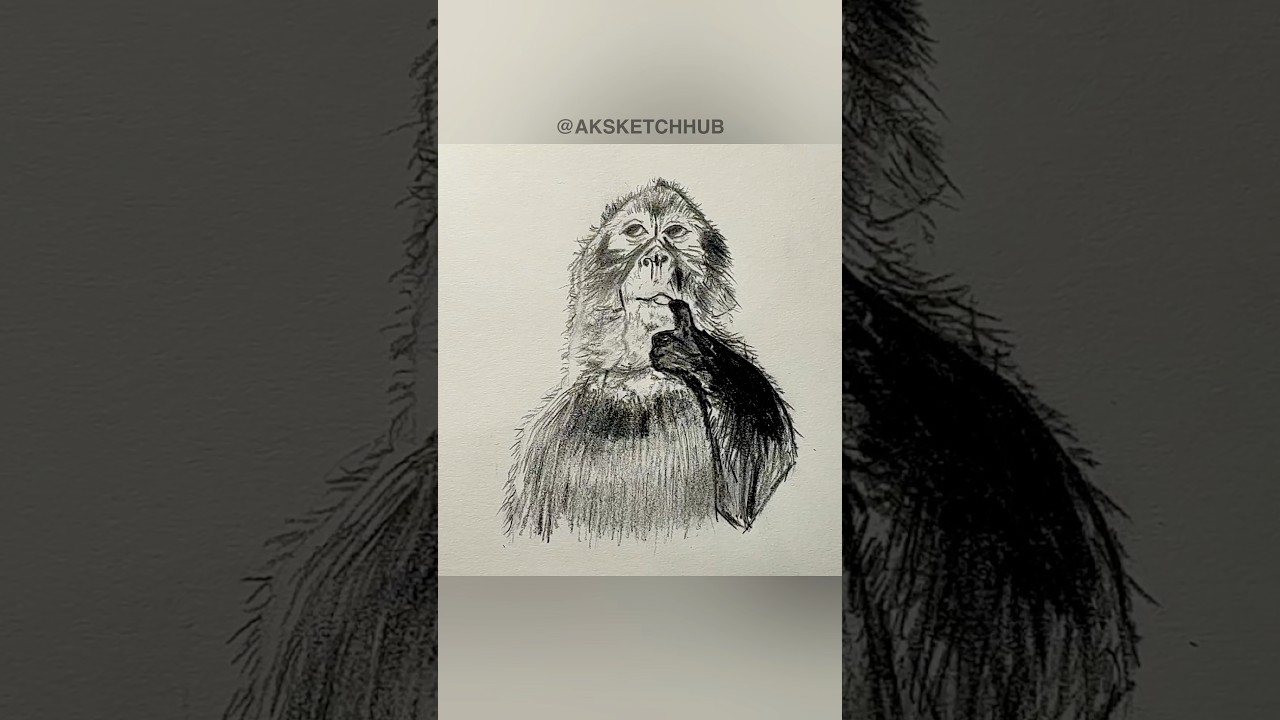 How To Draw A Monkey Step-By-Step #drawing