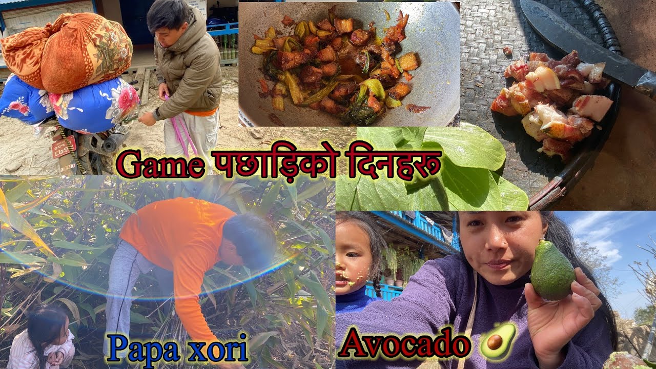Gamepaxadiko hamro dinharu yesari katdeixa papa Xoriko maya yeti saro #aakritimangpahangrai #fyp 