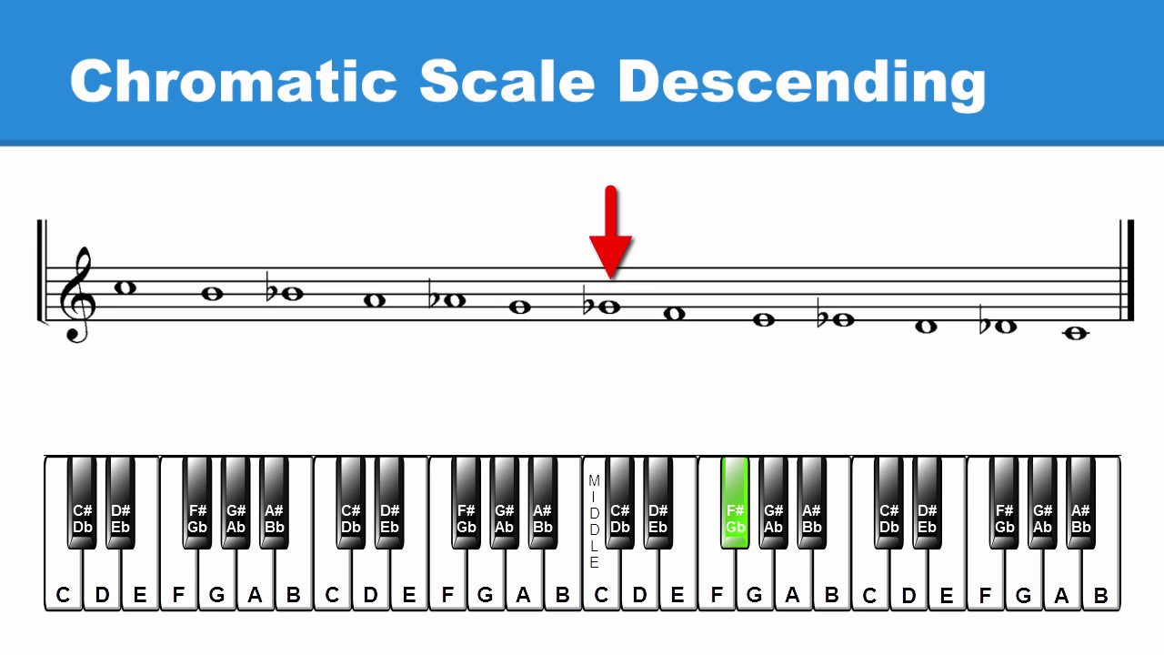 Lesson 8: Half-Steps & the Chromatic Scale