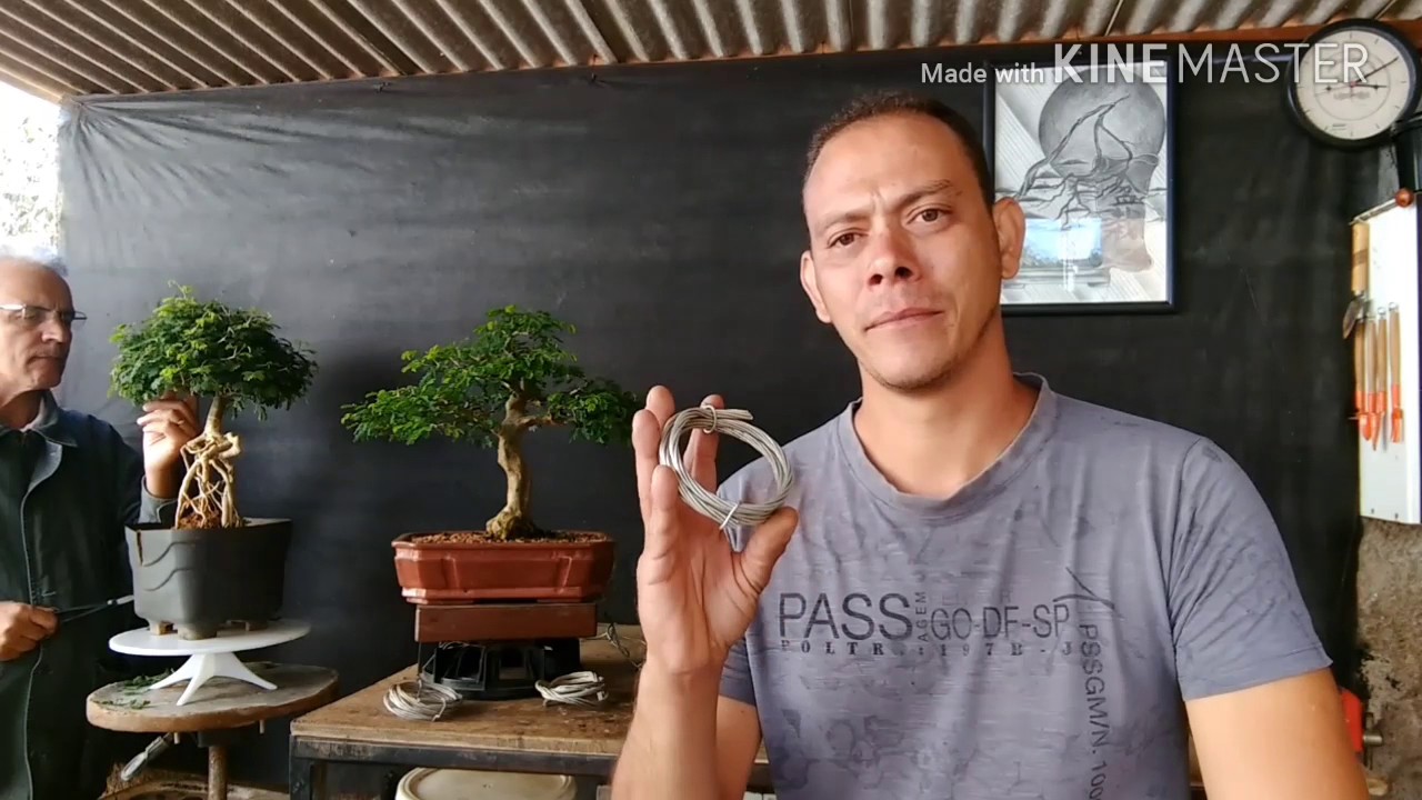 Arame para o bonsai - dica de como obter