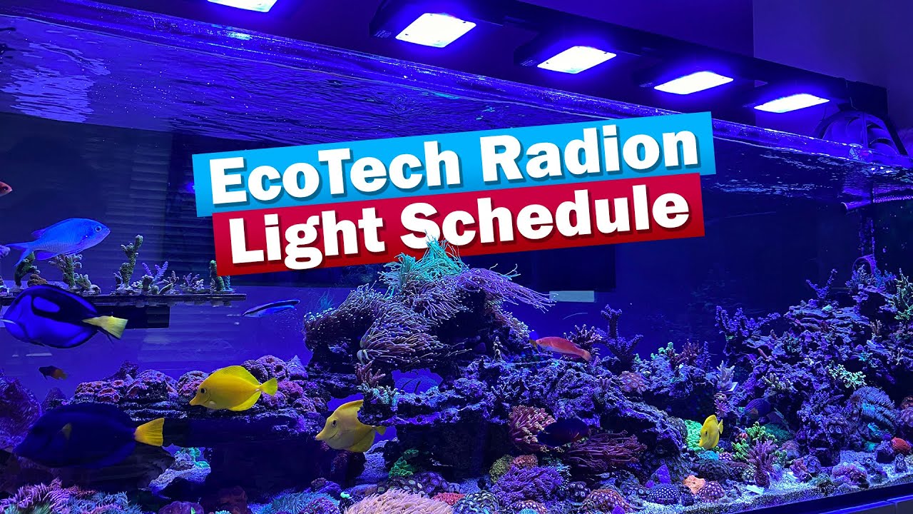 Расписание ReefDudes EcotechMarine Radion G5 Pro: Как импортировать расписание Mobius.