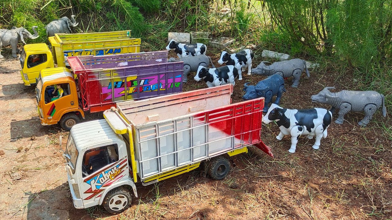 MOBIL TRUK OLENG MUAT INDUK SAPI DAN KERBAU, MOBIL MOBILAN REMOT RC ISUZU GIGA, CANTER FUSO MINIATUR