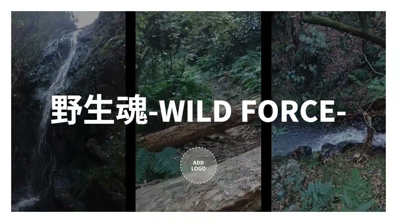 里山の秘瀑　そうせいの滝