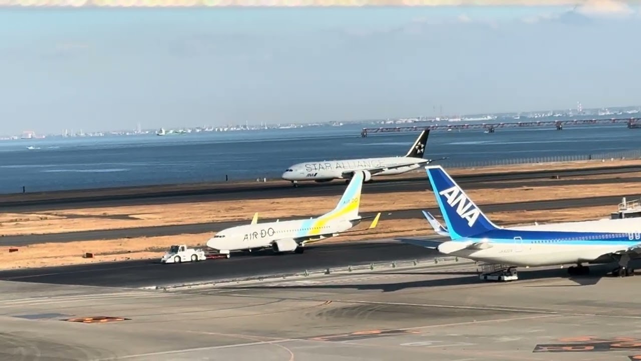 羽田空港T2散歩【ANA】B787スターアライアンス特別塗装機着陸2026.2.1#haneda #airplane 