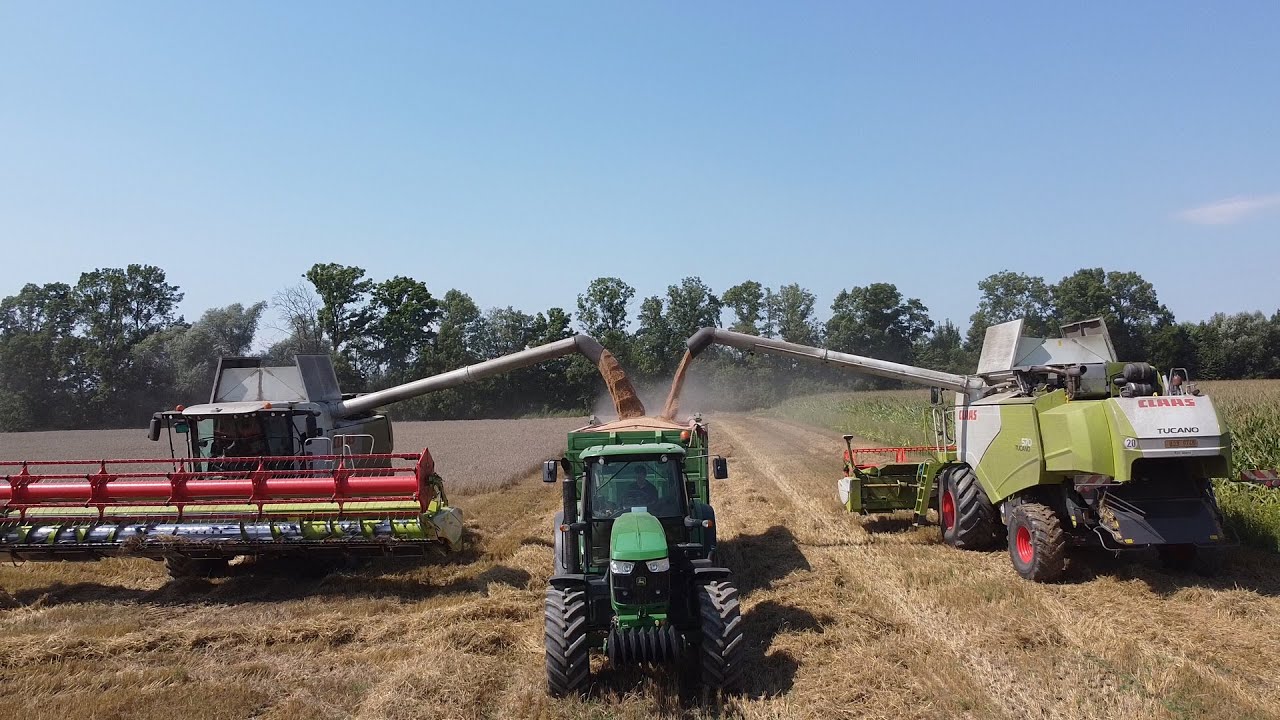 Žně / Harvest 2021  -  Zámoraví a.s. Břest
