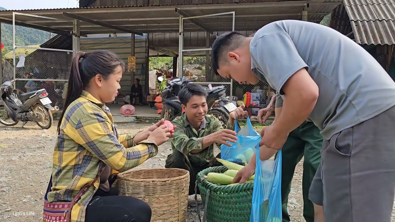 Harvesting waxy corn - How to make sour fluke leaves, Processing for sale | Linh's Life