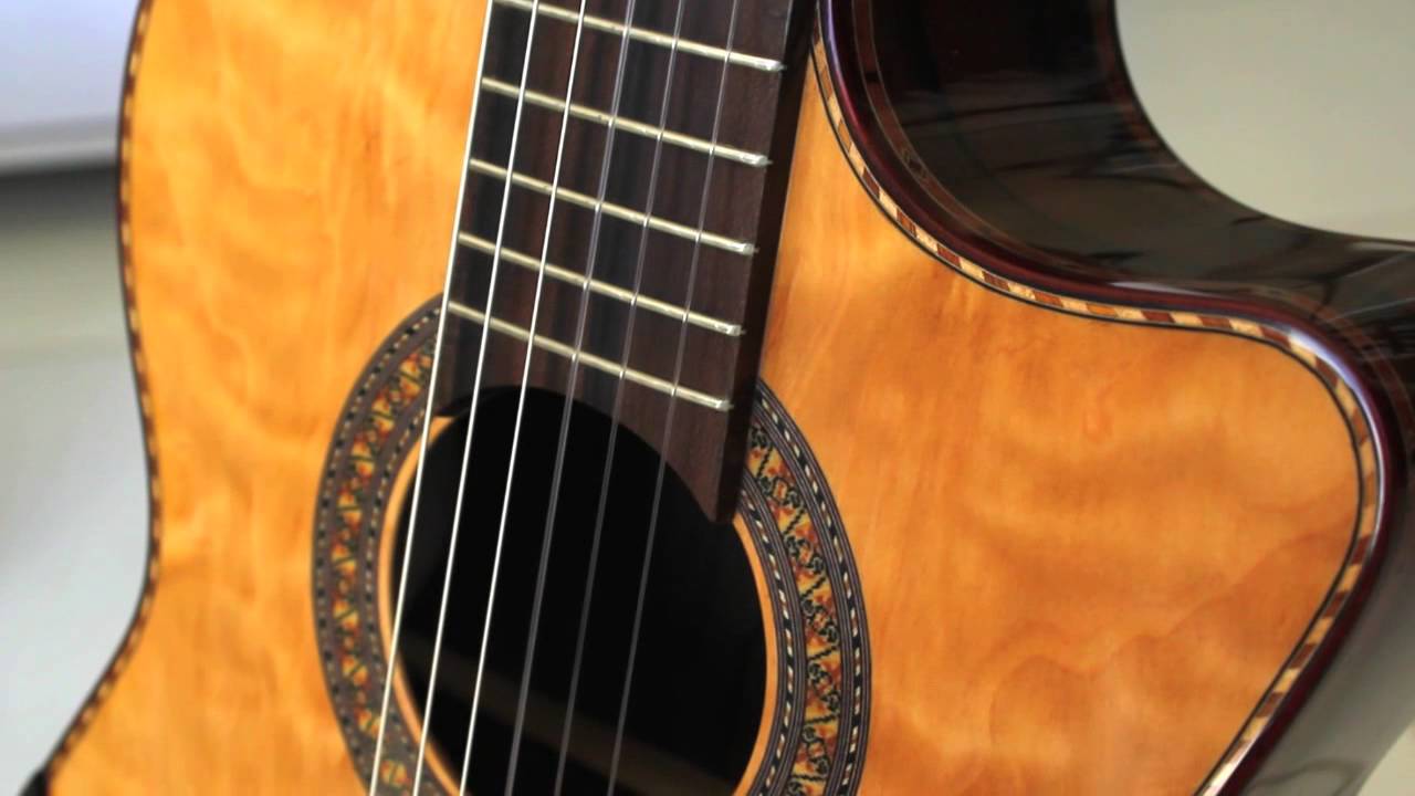 Bellucci Guitars, Ziricote B&S Concert Cutaway