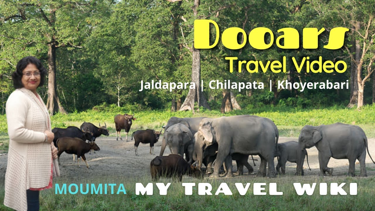 Dooars Travel Vlog (Part 2) | Moumita | My Travel Wiki