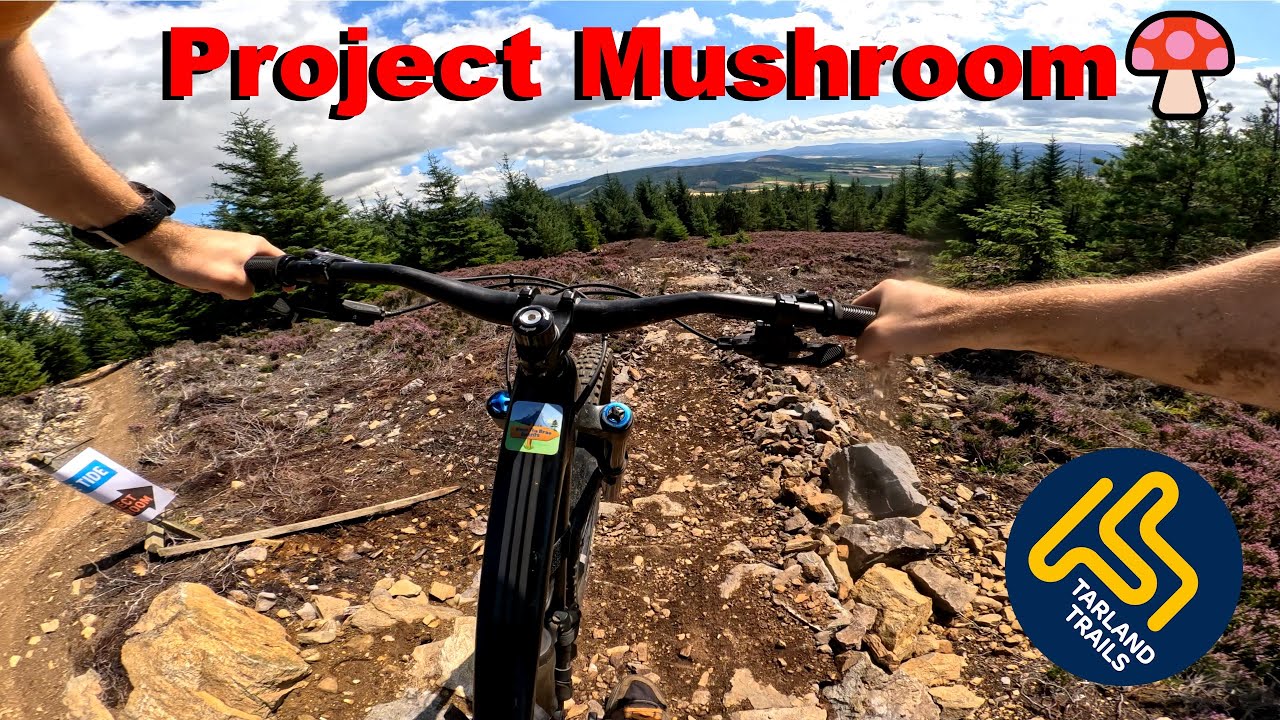 Project Mushroom - Brand New Trail - Tarland Trails 2025
