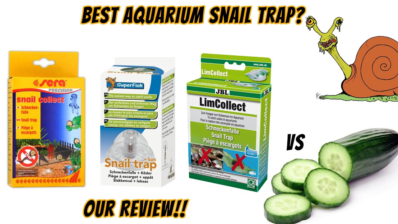 Best Aquarium Snail Trap. Sera Snail Trap - Super Fish Snail Trap - JBL Snail Trap
