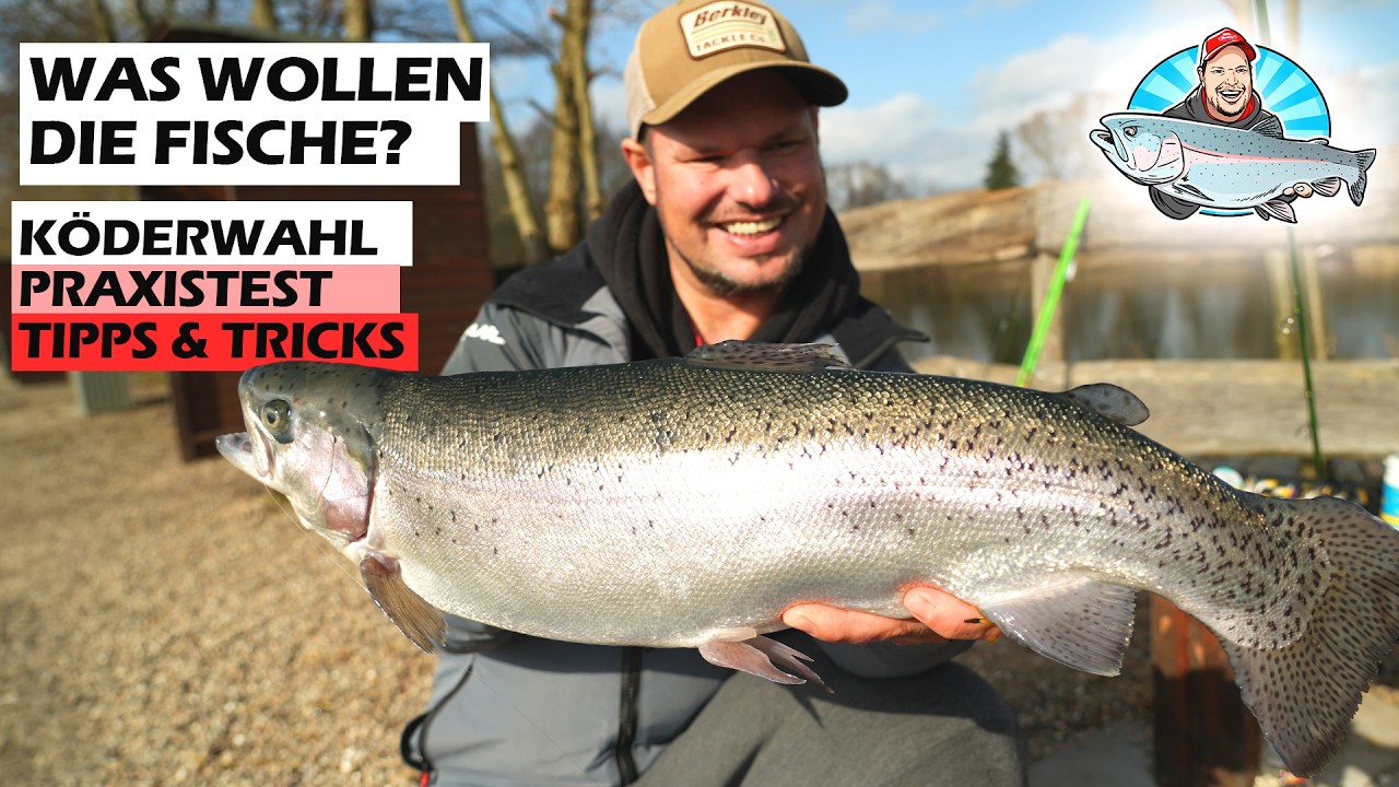 🐟 Angeln am Forellensee | So findest du den richtigen K&ouml;der!