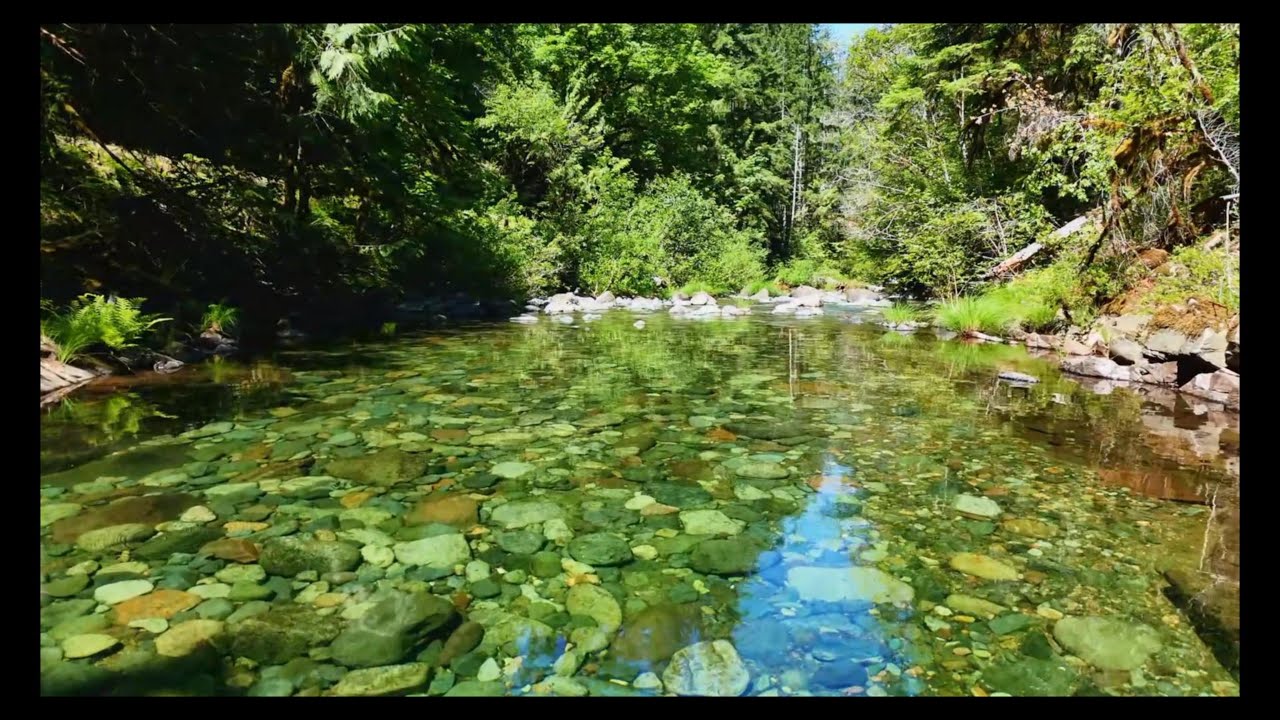 Oregon Creek