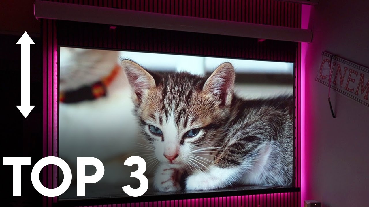 TOP 3 : Meilleur &Eacute;cran de Projection Motoris&eacute; 2025