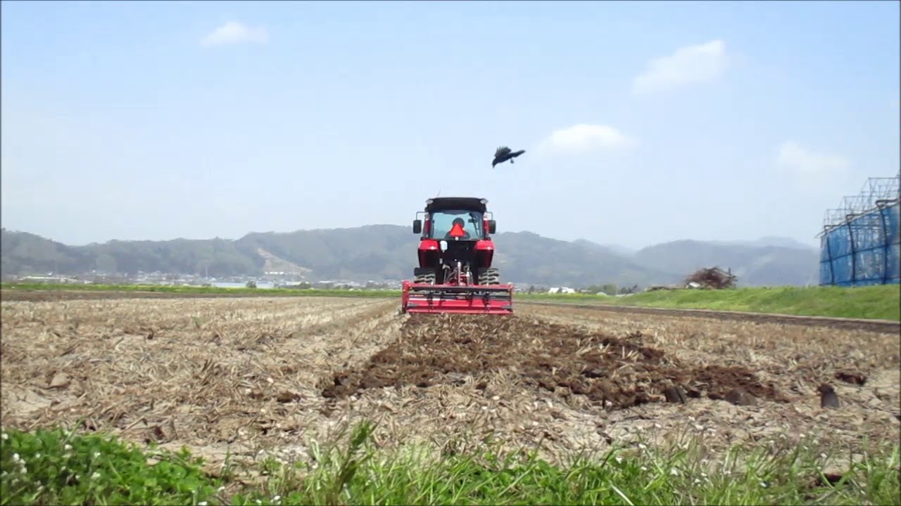 YANMAR YT338J