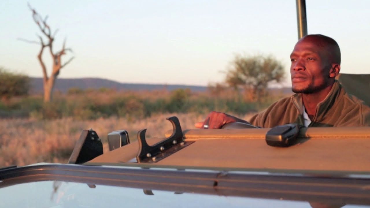 Game Viewing Jamala Madikwe