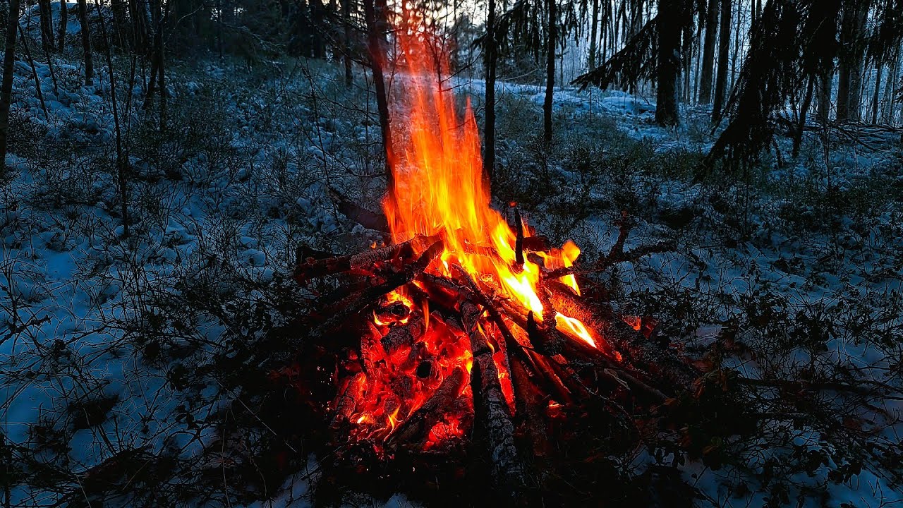 🔥 Deep Sleep Campfire Sounds  | Real White Noise & Brown Noise | No Music | Calming Ambience