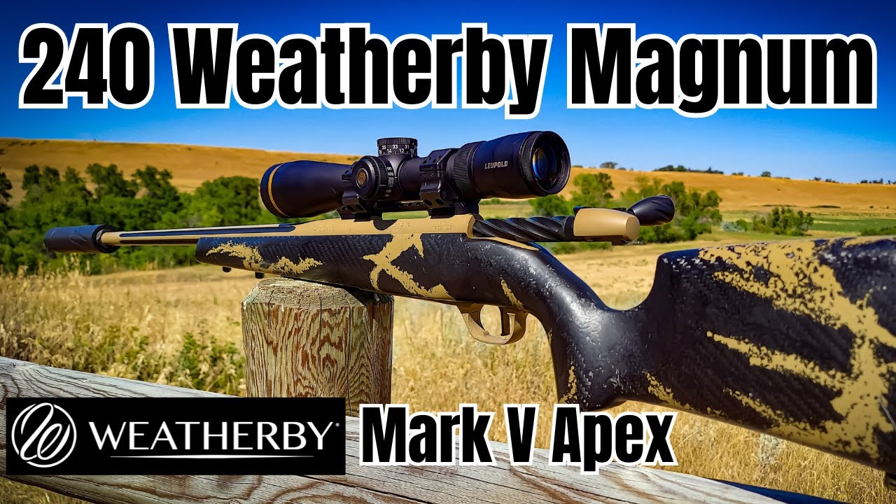 240 Weatherby Magnum to 600 Yards [Weatherby Mark V Apex]